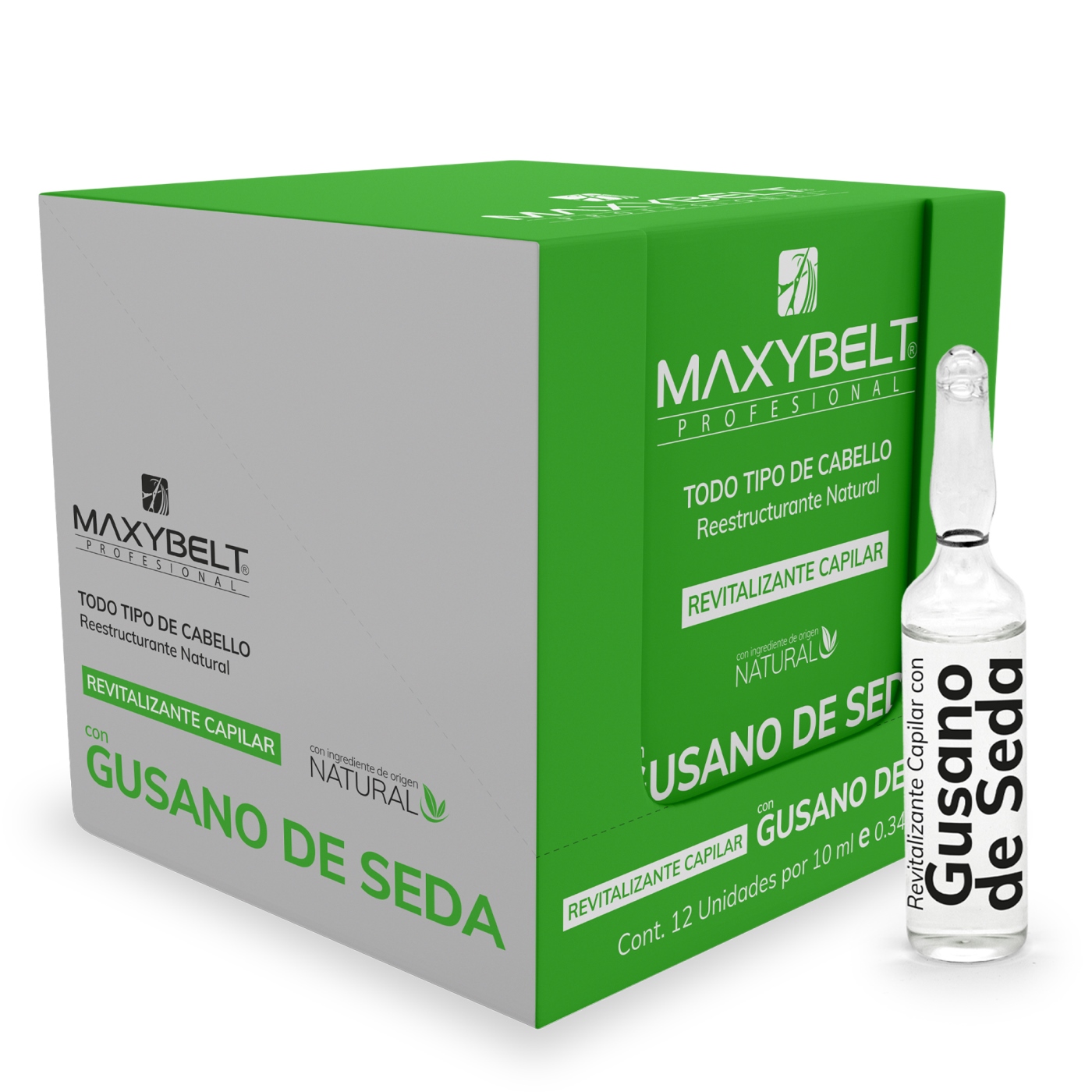 CJ-AMP-Gusano-de-seda